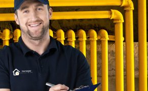 xr:d:DAFf2o1WWmQ:5,j:45022836324,t:23041202 xr:d:DAFf2o1WWmQ:5,j:45022836324,t:23041202